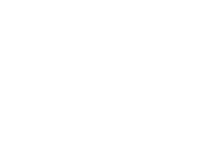client-logo-avis-fleet-new