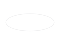 ford-white