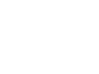 jaguar-white
